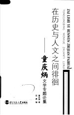 在历史与人文之间排徊:童庆炳文学专题论集
