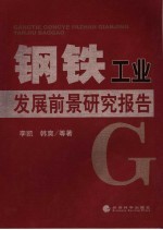 钢铁工业发展前景研究报告