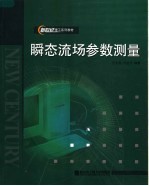 瞬态流场参数测量 第2版