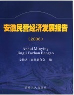 安徽民营经济发展报告 2006