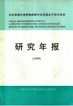 研究年报 1999