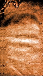 三礼便蒙 4