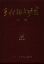 王村铝土矿志 全一卷 1962-1985