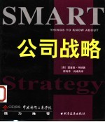 公司战略