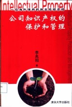 公司知识产权的保护和管理 一位海外律师的执业经验总结