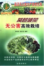 莴苣菠菜无公害高效栽培