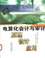 电算化会计与审计 原理、设计、应用