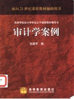 审计学案例