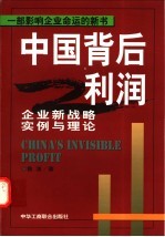 中国背后利润 企业新战略实例与理论