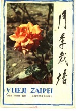 月季栽培