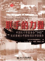 联手的力量 中国红十字基金会“5.12”灾后重建公开招标项目评估报告