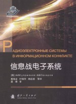 信息战电子系统