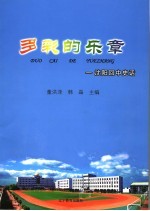 多彩的乐章:沈阳回民中学史话