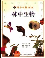 科学在你身边 林中生物