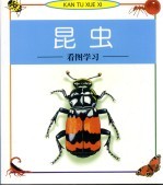 看图学习 昆虫
