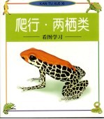看图学习 爬行·两栖类