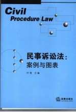 民事诉讼法 案例与图表