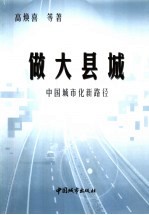 做大县城 中国城市化新路径