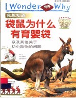 我想知道袋鼠为什么有育婴袋 以及其他关于幼小动物的问题