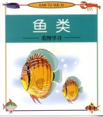 看图学习 鱼类