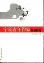 宁夏青年作家作品精选 小说卷 下