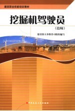 挖掘机驾驶员 技师