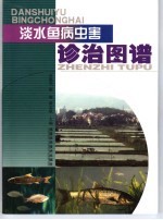 淡水鱼病虫害诊治图谱