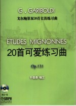 戈尔鲍第双20首长笛练习曲 20首可爱练习曲