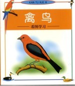 看图学习 禽鸟