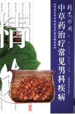 精选妙用中草药治疗男科疾病