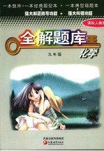化学全解题库 九年级 人教版