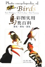 彩图实用鸟类百科 赏鸟·养鸟·驯鸟