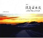 从龟兹出发