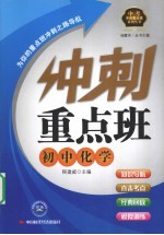 冲刺重点班 初中化学