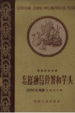 怎样种马铃薯和芋头