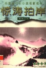 惊涛拍岸 商海之页