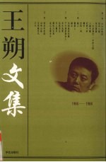 王朔文集 2