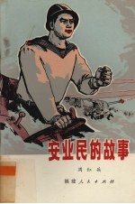 安业民的故事