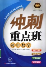 冲刺重点班 初中数学