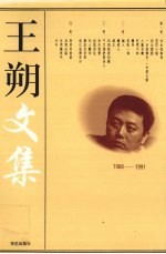 王朔文集 3