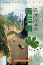 风景如画的新三峡