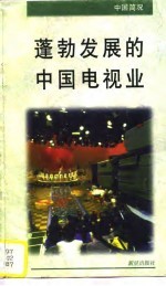 蓬勃发展的中国电视业