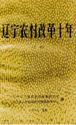 辽宁农村改革十年 党的十一届三中全会十周年纪念文集 下