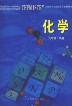 化学 九年级 下
