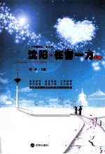 沈阳 在雪一方 上