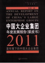 中国大企业集团年度发展报告(紫皮书) 2011