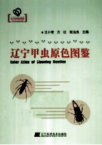 辽宁甲虫原色图鉴 辽宁省优秀自然科学著作