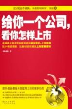 给你一个公司,看你怎样上市