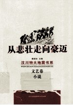 从悲壮走向豪迈 汶川特大地震书系 文艺卷 小说