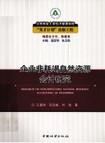 企业非耗竭自然资源会计研究